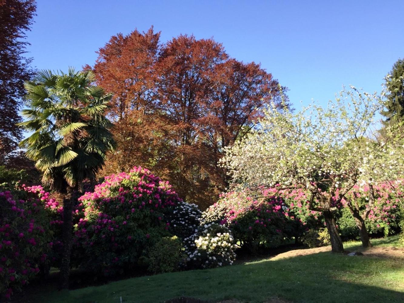 Corte Villa Donati Cissano ภายนอก รูปภาพ